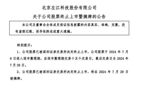 從巔峰墜落 曾對(duì)標(biāo)英偉達(dá)的網(wǎng)絡(luò)安全股，股價(jià)從299元到1元的退市警示錄